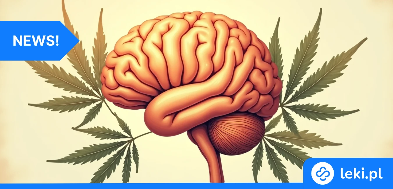 CBD w leczeniu uzależnienia od alkoholu – nowe badania