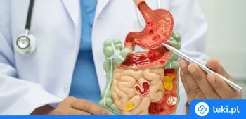 Ilustracja poradnika Jak rozpoznać zakażenie Helicobacter pylori i dlaczego probiotyki mogą pomóc w leczeniu?