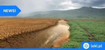 Ilustracja poradnika Jak zmiany klimatu zwiększają ryzyko chorób zakaźnych?