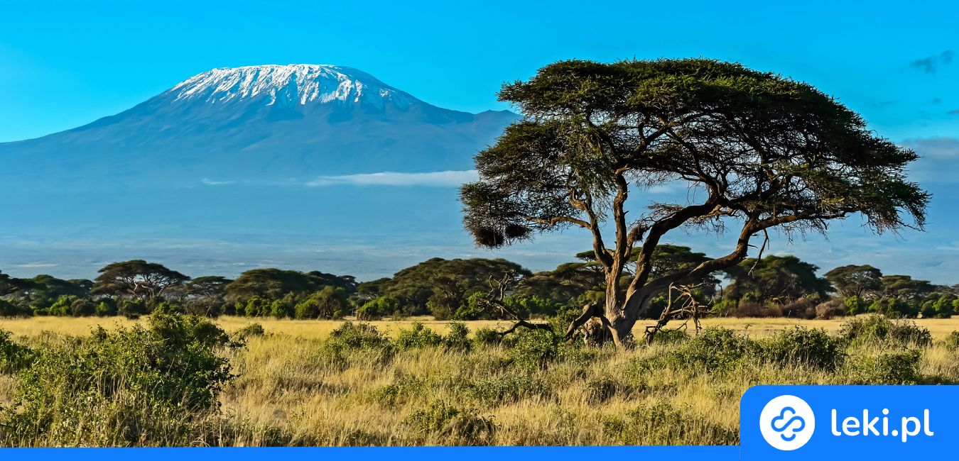 Szczepienia do Kenii i Tanzanii – jak przygotować się na safari?