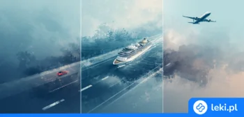 Ilustracja poradnika Choroba lokomocyjna – jak ją pokonać? Leki, imbir i domowe sposoby