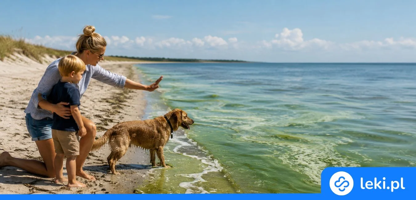 Sinice w Bałtyku – jak je rozpoznać i uniknąć zagrożenia na plaży?
