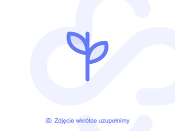 Zdjęcie produktu Folacid, tabletki, 0,4 mg
