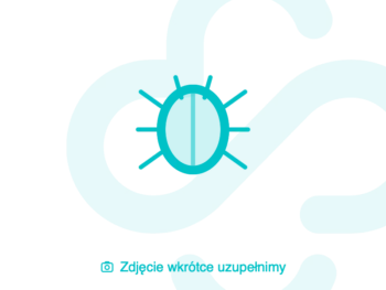 Zdjęcie produktu Arechin, tabletki, 250 mg