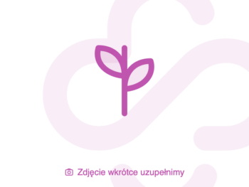 Zdjęcie produktu Koszyczek nagietka, zioła do zaparzania