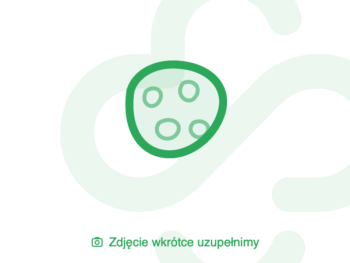 Zdjęcie produktu Laktopin, kapsułki