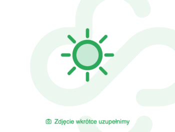 Zdjęcie produktu Simple Day Sun booster, tabletki