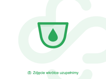 Zdjęcie produktu Pharmacy Laboratories Plus Rectostop, tabletki