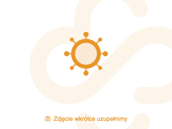 Zdjęcie produktu Medomics Combo Testy diagnostyczne 5w1 Covid-19 + Grypa A+B + RSV + Adenowirus, test diagnostyczny