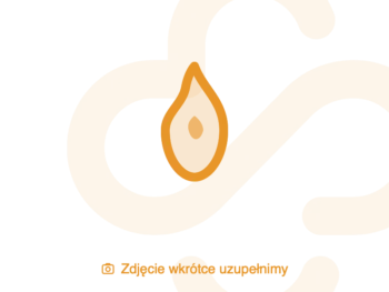 Zdjęcie produktu Domowe Laboratorium Menopauza test płytkowy do oceny poziomu hormonu FSH, test diagnostyczny