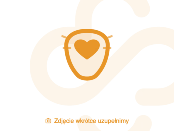 Zdjęcie produktu GingerOrganic Tampony bez aplikatora Mini, zatyczki