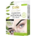Delia Eyebrow Expert pudrowa henna do brwi 1.0 czarny, proszek