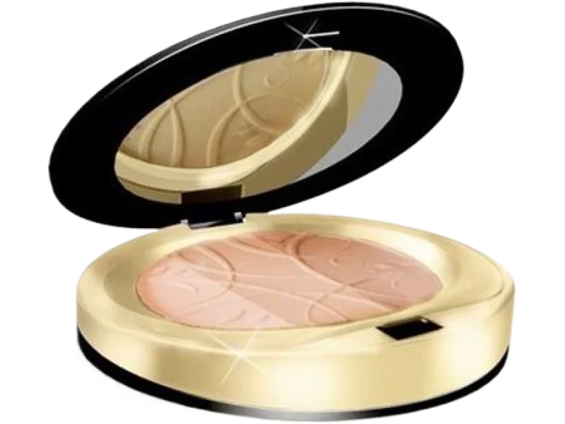 Eveline Cosmetics Celebrities Beauty mineralny puder w kamieniu nr 020 transparent
