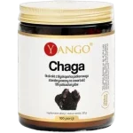 Yango Chaga, ekstrakt polisacharydów, proszek