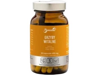 Zdjęcie produktu Yango Panaseus grzyby witalne, kapsułki