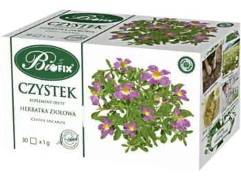 Zdjęcie produktu BiFix Herbata ziołowa Czystek, zioła do zaparzania, 1 g