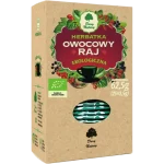 DARY NATURY Herbatka Owocowy raj EKO, saszetki