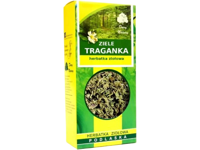 Dary Natury Traganek ziele, zioła do zaparzania