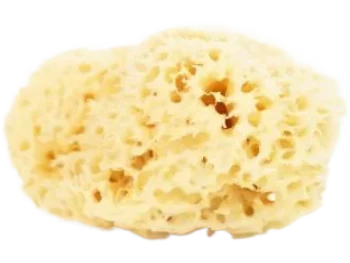Zdjęcie produktu Lullalove Naturalna gąbka morska do twarzy i ciała