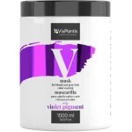 VisPlantis Professional Maska do włosów blond i siwych ochładzająca kolor